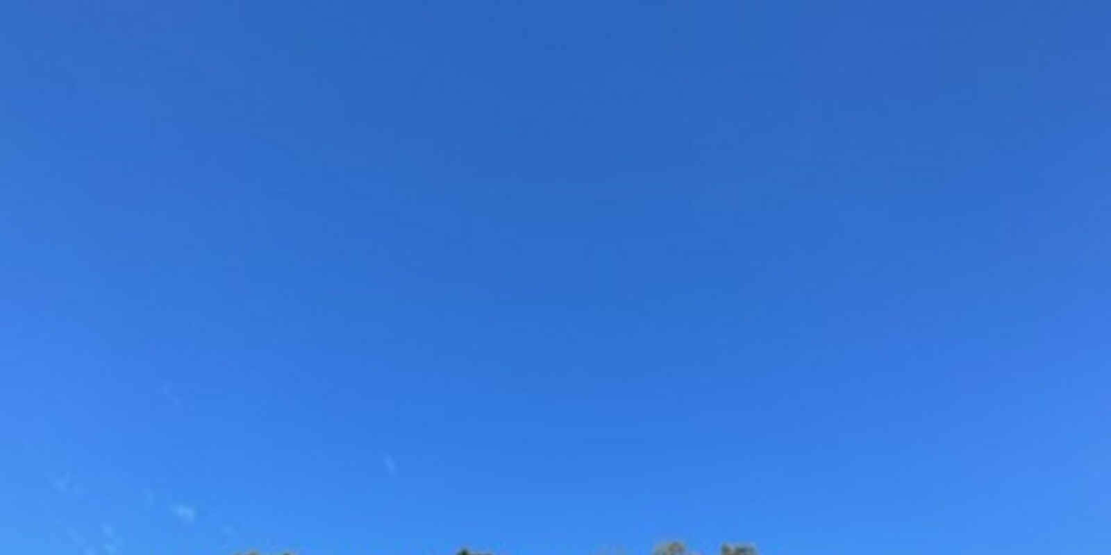 54 Vindin Street Rutherford