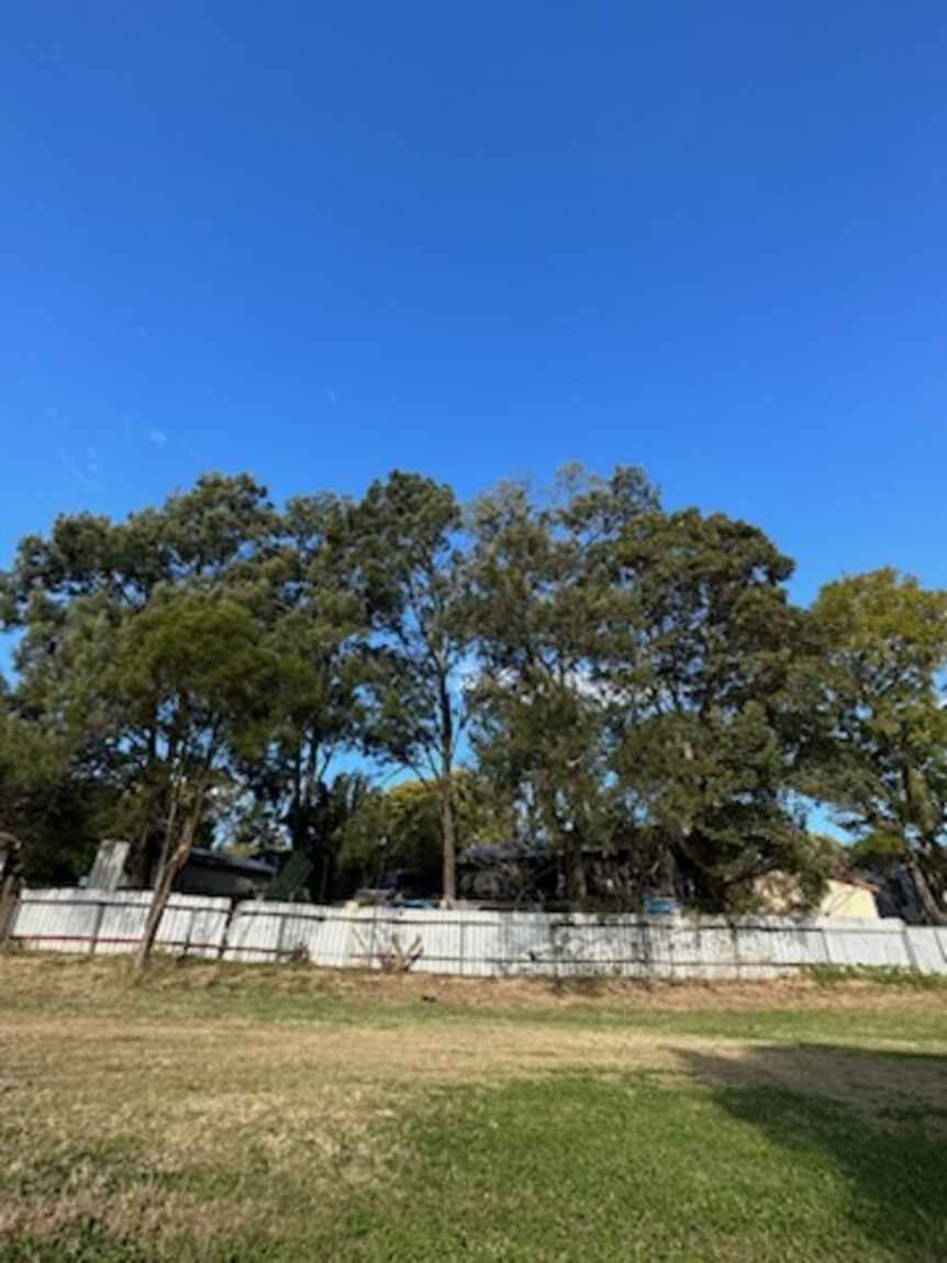 54 Vindin Street Rutherford