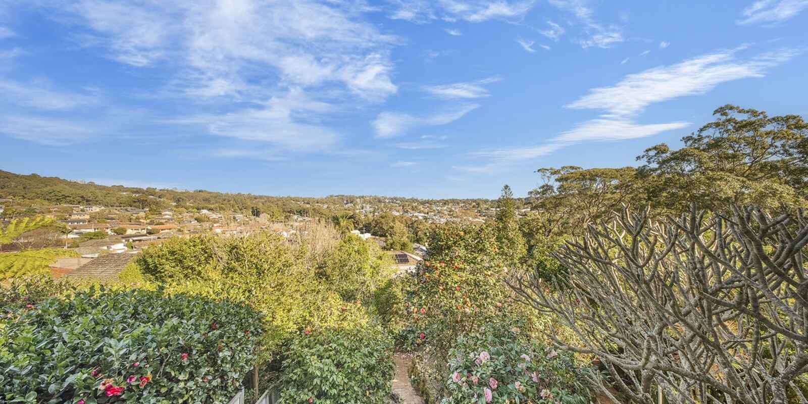 36 Madison Drive Adamstown Heights